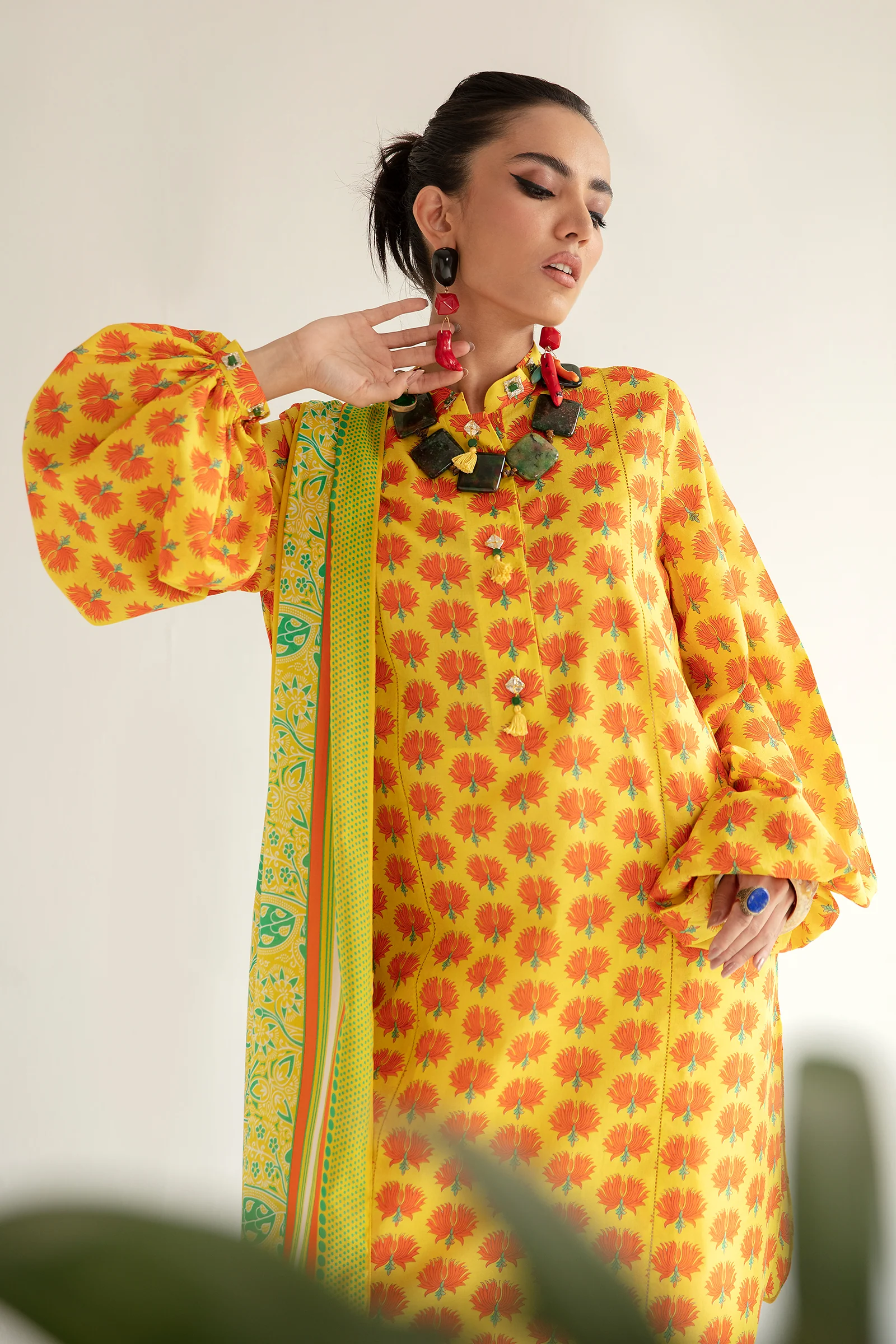 MERAL (ZRW-20941) 1 MERAL (ZRW-20941)