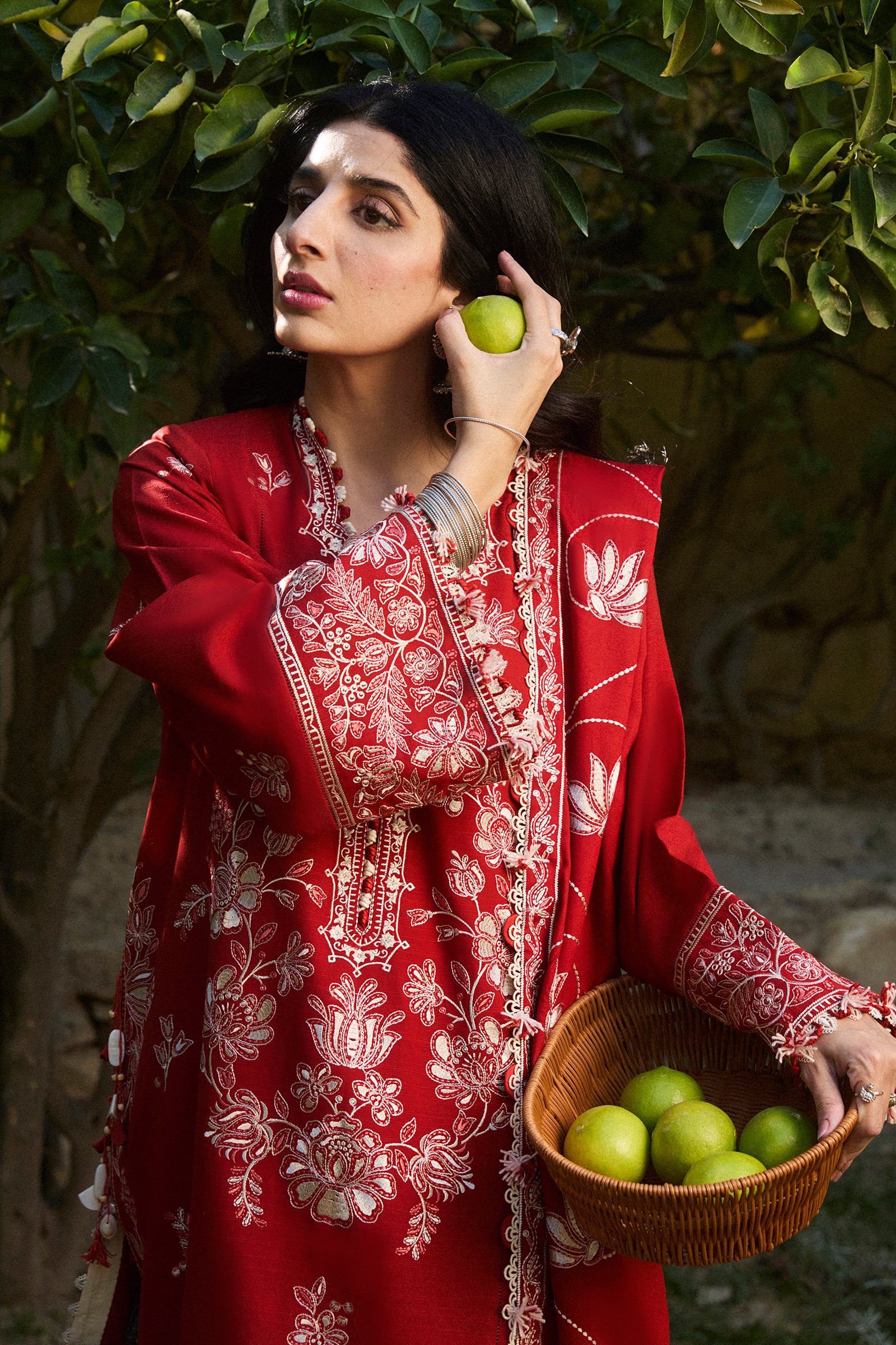 DILARA (ZW24-02) 4 DILARA (ZW24-02)